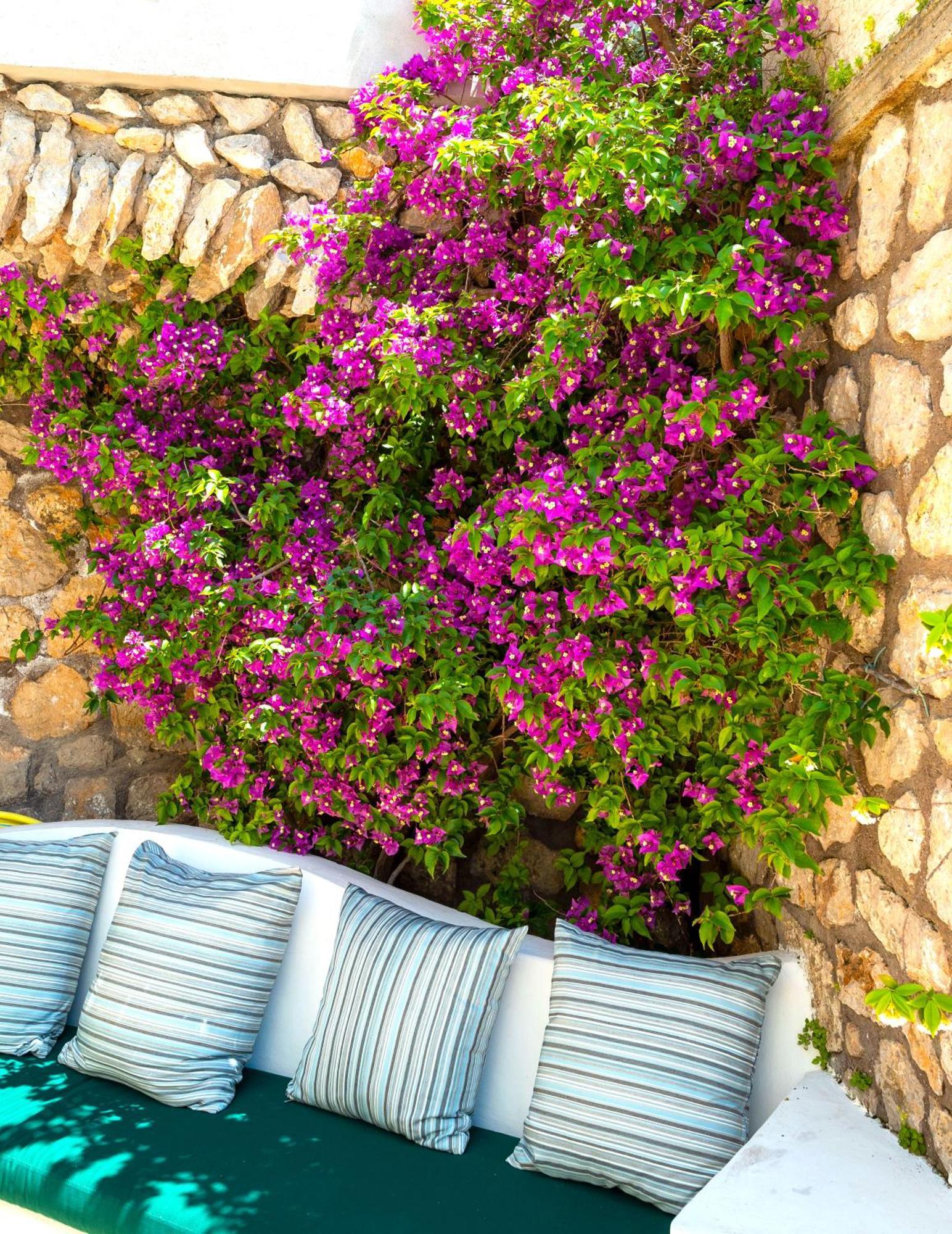 Hotel La Floridiana Κάπρι Εξωτερικό φωτογραφία
